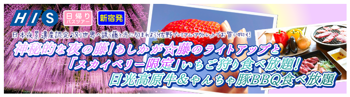 バスツアー いちごの里 栃木県小山市にあるいちご狩りのできるスローライフリゾート