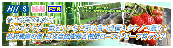 バスツアー いちごの里 栃木県小山市にあるいちご狩りのできるスローライフリゾート