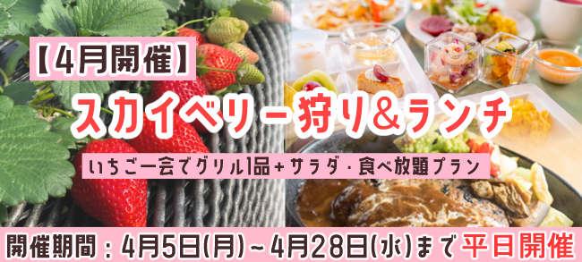 4月 スカイベリー狩り ランチ いちごの里 栃木県小山市にあるいちご狩りのできるスローライフリゾート