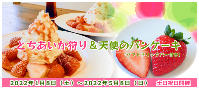 とちあいか狩り 天使のパンケーキ 朝食付きプラン いちごの里 栃木県小山市にあるいちご狩りのできるスローライフリゾート