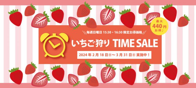 【日曜日限定】いちご狩りタイムセール | いちごの里｜栃木県小山市