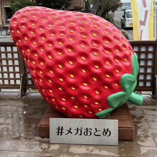 いちごの里｜栃木県小山市にあるいちご狩りのできるスローライフリゾート